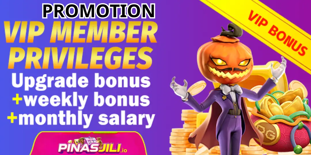 bonus vip pinasjili