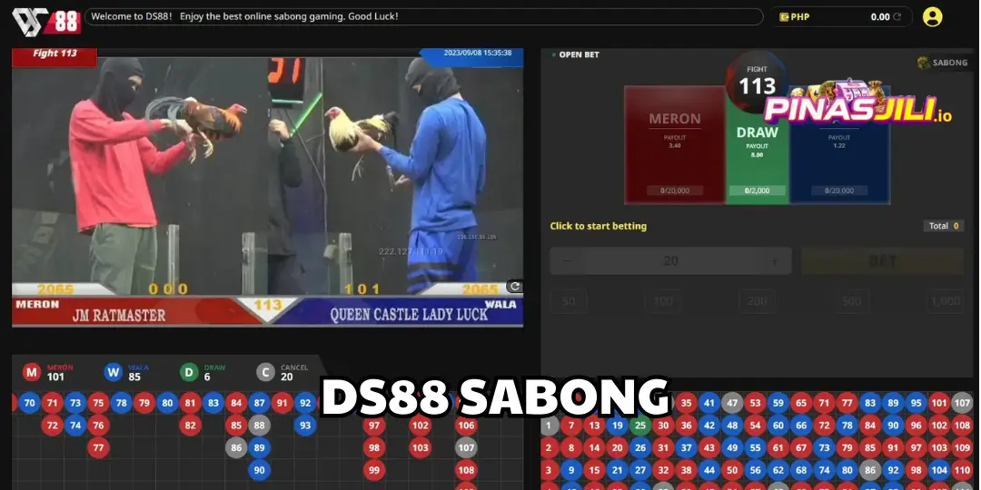 interface Ds88 sabong